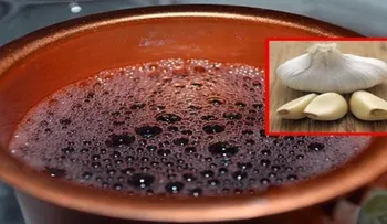 Si está cansado (a) debes hacerte una limpieza de sangre, estos son los ingredientes