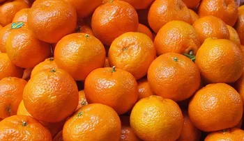 6 trucos que hacen lucir más atractiva a la comida en el mercado