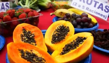 ¿Qué alimentos debes comer para mejorar tu memoria?