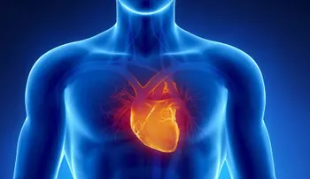  Un tipo de hongo intestinal, útil como biomarcador de riesgo cardiovascular 