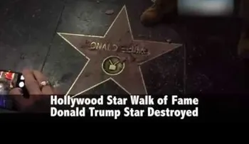 Mira cómo fue desvaratada la estrella de Donald Trump 