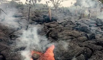 Árboles de Lava en Hawai: Entérate cómo están formados ¡Te sorprenderás!