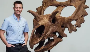 Descubren por accidente un nuevo y puntiagudo dinosaurio