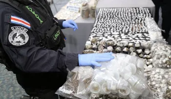 Un duro golpe al tráfico de droga sintética: incautan la mayor cantidad de K-2 en Costa Rica