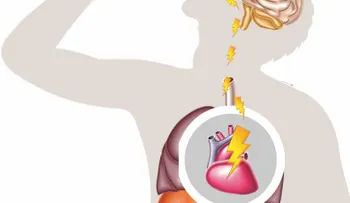 Bebidas energéticas ¿portadores de energía o de infartos?
