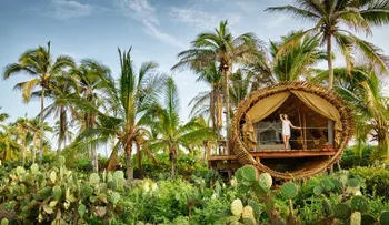 ¿Vivirías en una casa en un árbol para cuidar el medio ambiente?