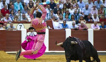 Escrito de un técnico sobre las corridas de toros enciende redes sociales