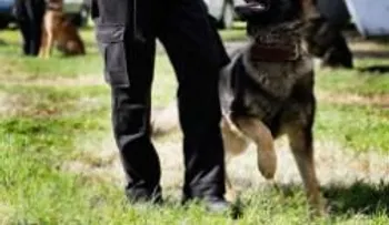Hombre muerde a agente y a perro policial en California