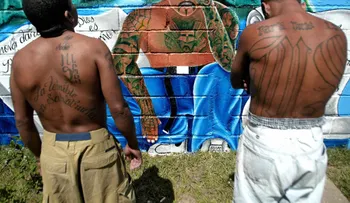 La guerra de Trump a las maras las está fortaleciendo, dice la MS-13