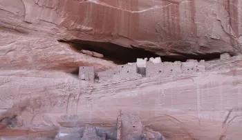 Video: Patean a una pequeña ardilla desde lo alto del Gran Cañón tras engañarla con pan