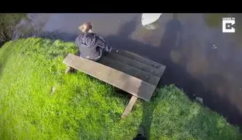 Un hombre salta sobre un cisne en un río? para salvarlo