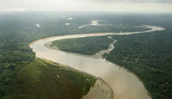 "Nos quedamos todos atónitos": Gran descubrimiento en las profundidades del Amazonas
