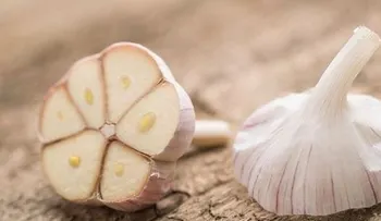 El ajo mata 14 tipos de cáncer y 13 tipos de infección. ¿Por qué los médicos no lo recetan?