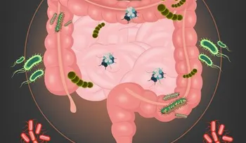 Las bacterias afectan la forma de la cintura