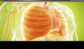 Una desintoxicación para limpiar los pulmones