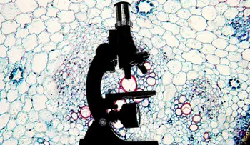 Una niña de ocho años sugiere posible cura para el cáncer 