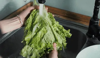 Alimentos contaminados matan cada año a 420.000 personas, recuerda la OMS