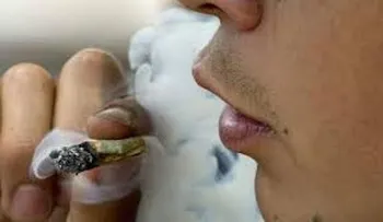 Jóvenes fuman marihuana más expuestos al fracaso escolar