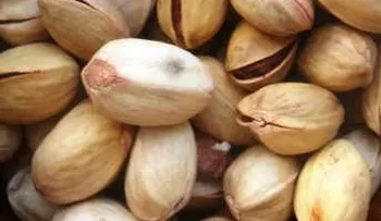 Los pistachos: Quien diría que podía hacer esto. Te quedará impactado
