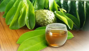 Médico destaca la manzanilla como aliada natural para mejorar el sueño y reducir el estrés