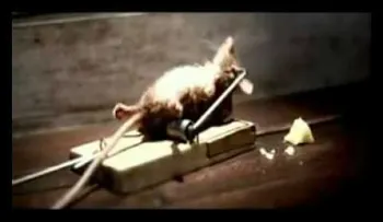 Comercial gracioso del ratoncito y el queso