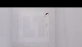 Un hombre muere tras intentar cruzar de un edificio a otro a través de cables de electricidad