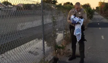 Encuentran a un recién nacido enterrado en calle peatonal en Los Ángeles