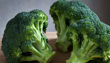 10 alimentos que alejan el cáncer