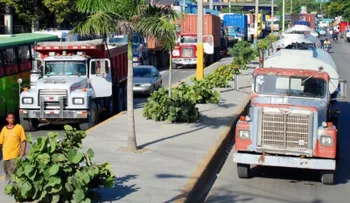 Paralizan transporte para celebrar su día