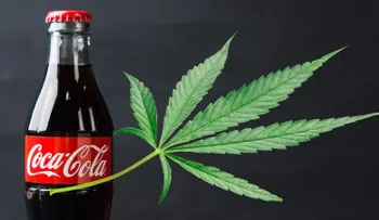 Coca-Cola podría entrar al negocio de bebidas con infusión de cannabis