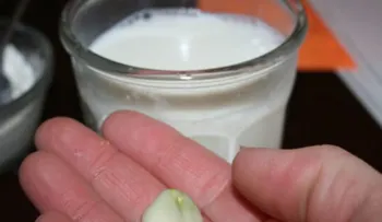 LEE HASTA EL FINAL para que te entere, un ajo en mi leche