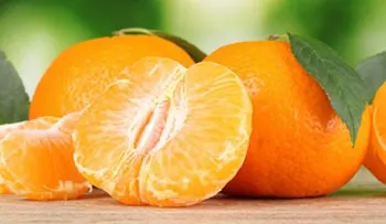5 beneficios de comer mandarinas