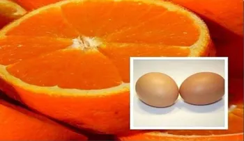 La dieta súper relámpago para adelgazar: combina estos 3 ingredientes 