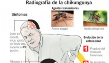 Confirman tres muertes por chikungunya en la República Dominicana 