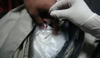 MP Santiago obtiene condena de 19 años de prisión contra traficantes de drogas