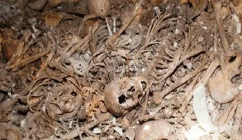 Colombia: Más de 60 cadáveres en fosa comùn