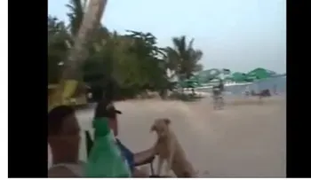 El Ranger a nivel de playa con la familia 
