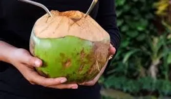 Agua de coco: ¡El secreto para una salud feliz y agradecida. Vitaminas A,E, B, fibra, minerales, zinc y hierro