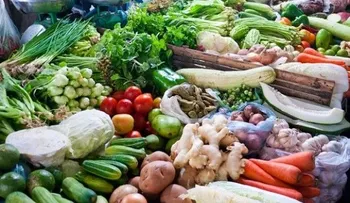 EE.UU. levanta parcialmente prohibición de productos agrícolas de RD