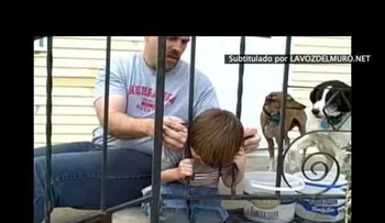 Tiene la cabeza atrapada y se ocurre una ingeniosa manera de salir (VIDEO)