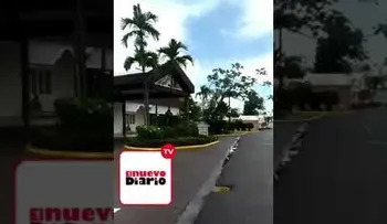 Un buffet alegadamente repleto de moscas y mime en hotel de 4 estrellas (VIDEO)