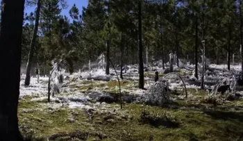 Se registran temperaturas bajo cero en Constanza, República Dominicana