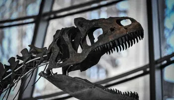 Subastan esqueleto de misterioso dinosaurio por 2,4 millones de dólares en Francia