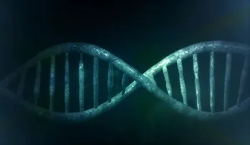 Científico dice que ADN de bebés gemelas podría hacerlas más inteligentes