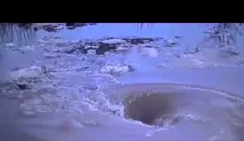 "Monstruo" de la naturaleza se traga todo a su paso. Video