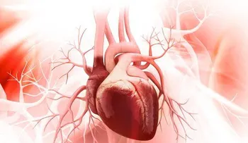 Descubren un nuevo culpable de las enfermedades cardiovasculares