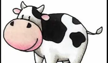 Video: Lección de la vaca
