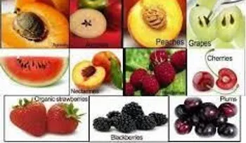 La vitamina B17 la tienen prohibida porque cura el cáncer