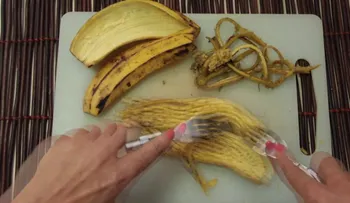 La cascara de guineo o plátano para ablandar la carne, blanquear los dientes, eliminar verrugas. Otros usos 