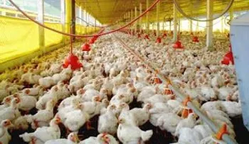 Productores avícolas se declaran en â??emergenciaâ? por veda impuso Haití